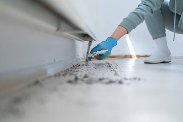 Best Affordable Pest Control Services  in Jeannette, PA